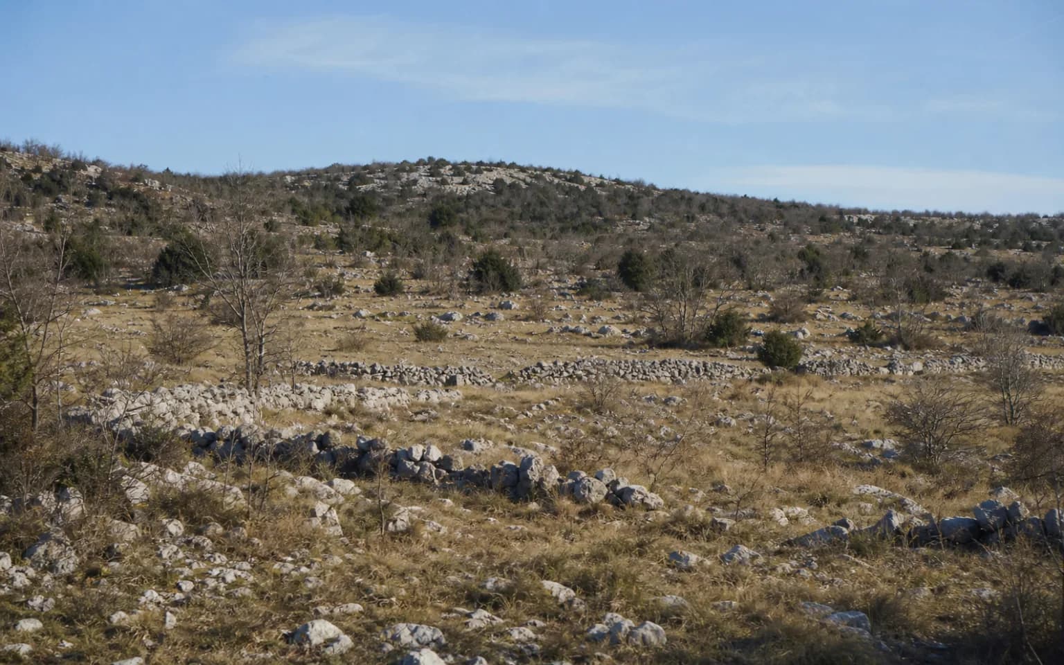 AI-generated illustrative wide view of quiet Dalmatian karst, dry-stone walls, low vegetation and rocky slopes in the Komazeci setting.