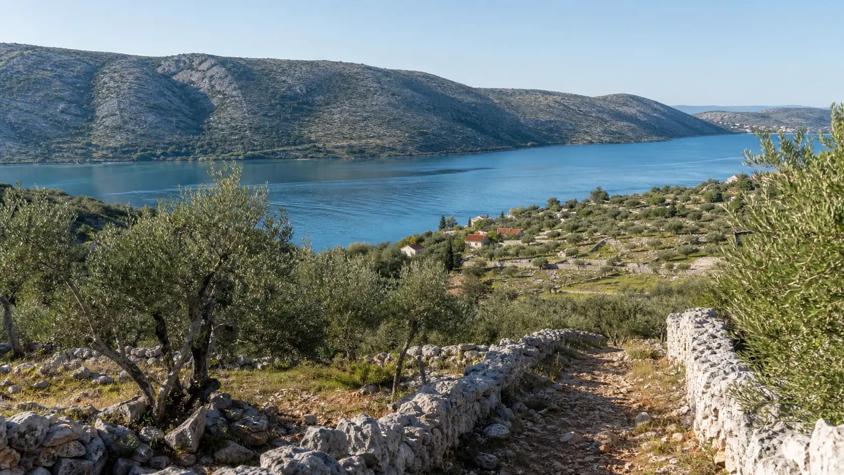 Illustrative wide view of a sheltered sea inlet, olive trees and Kruševo’s karst landscape.
