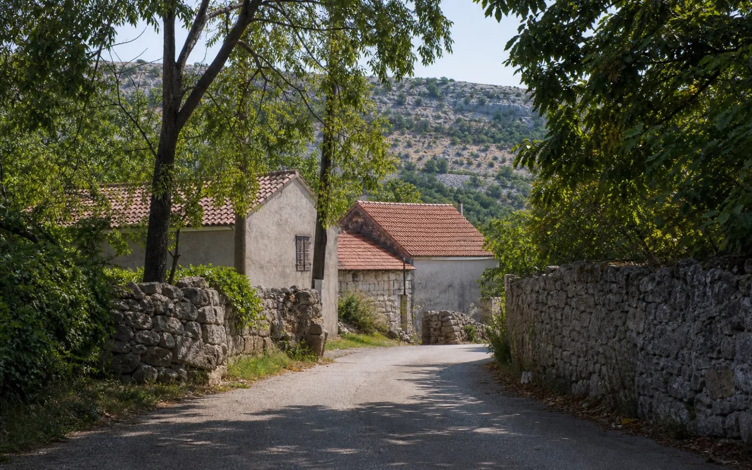 AI-generated illustrative quiet village lane with stone walls, tree shade and homes beneath a karst slope in the Muškovci setting.
