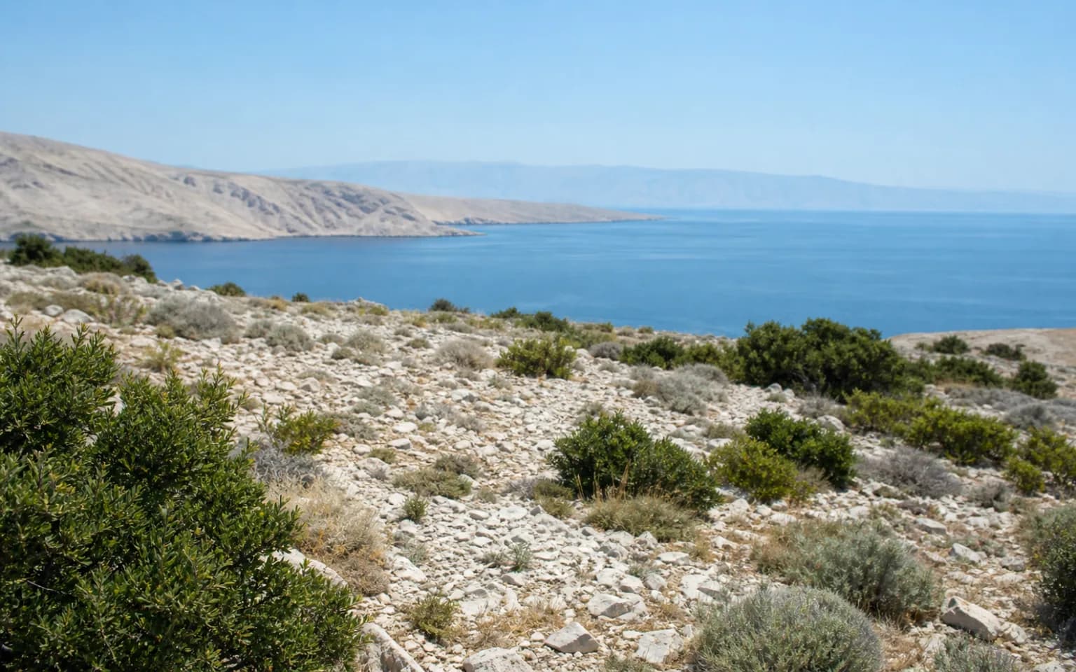 AI-generated illustrative wide view of rocky island terrain, low Mediterranean vegetation and calm sea in the Bošana setting.