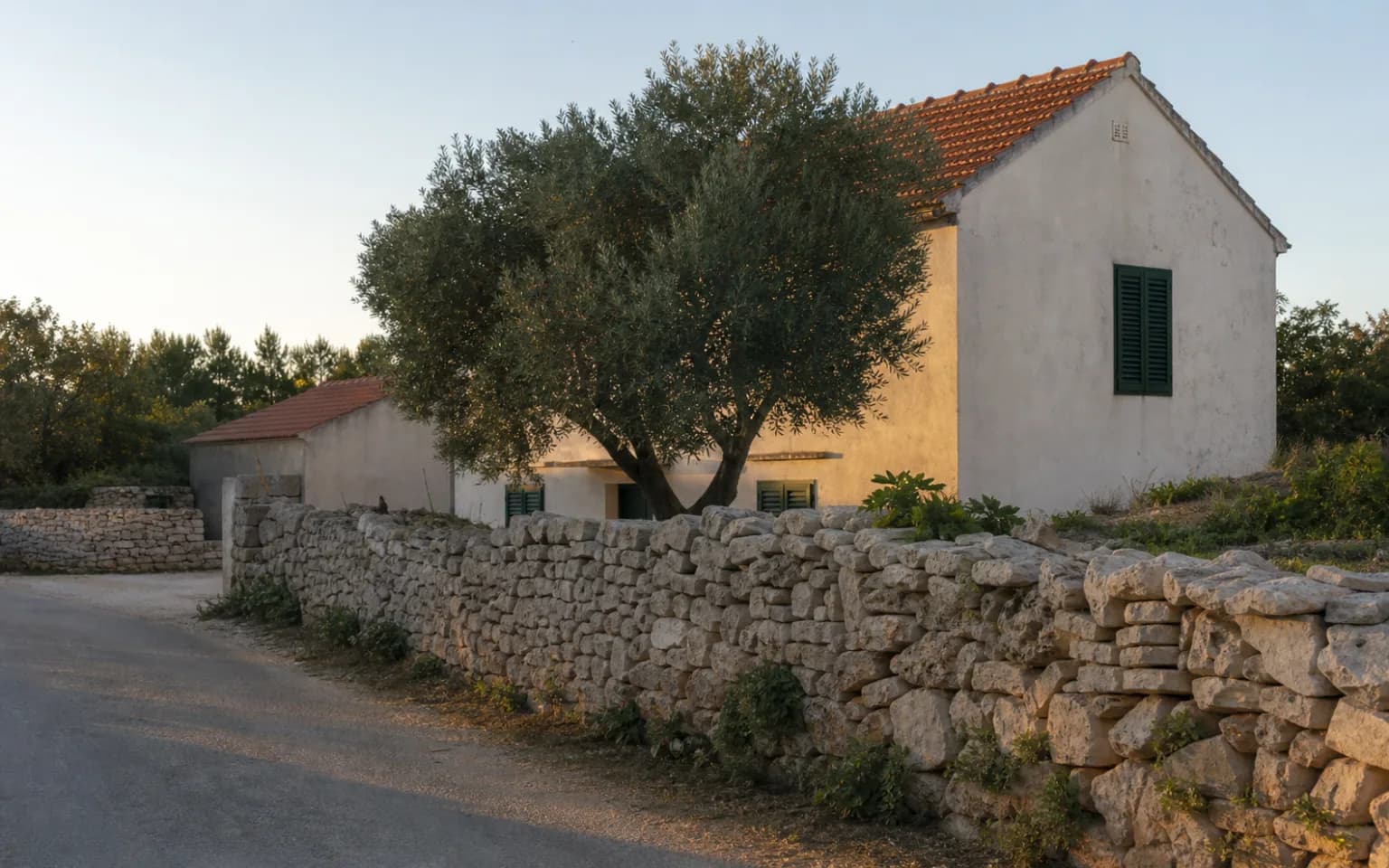 KI-generierte illustrative Außenansicht eines bescheidenen Inselhauses neben einer Trockenmauer und einem Olivenbaum im Ambiente von Dinjiška.