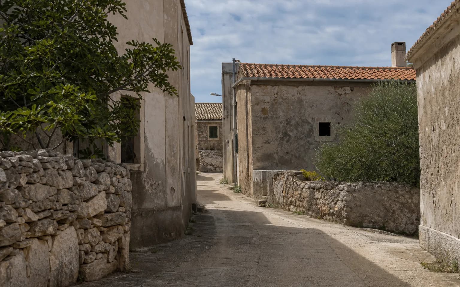 KI-generierte illustrative ruhige Inselgasse mit verwitterten Steinfassaden, Trockenmauer und Feigenbaum im Ambiente von Gorica auf Pag.