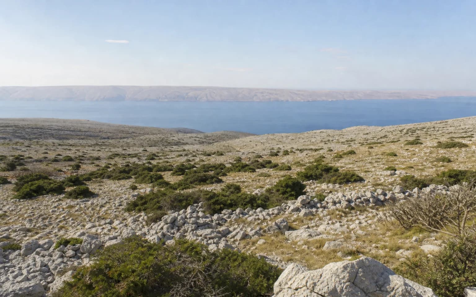 KI-generierter illustrativer Weitblick auf ein felsiges Inselplateau, niedrige mediterrane Vegetation und das ferne Meer im Ambiente von Miškovići.