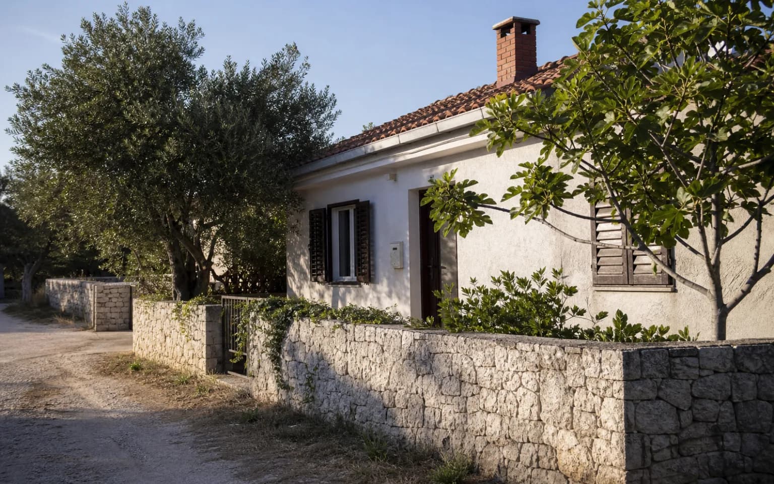 AI-generated illustrative exterior of a modest island home with a low stone wall, olive tree and fig tree in the Šimuni, Pag setting.
