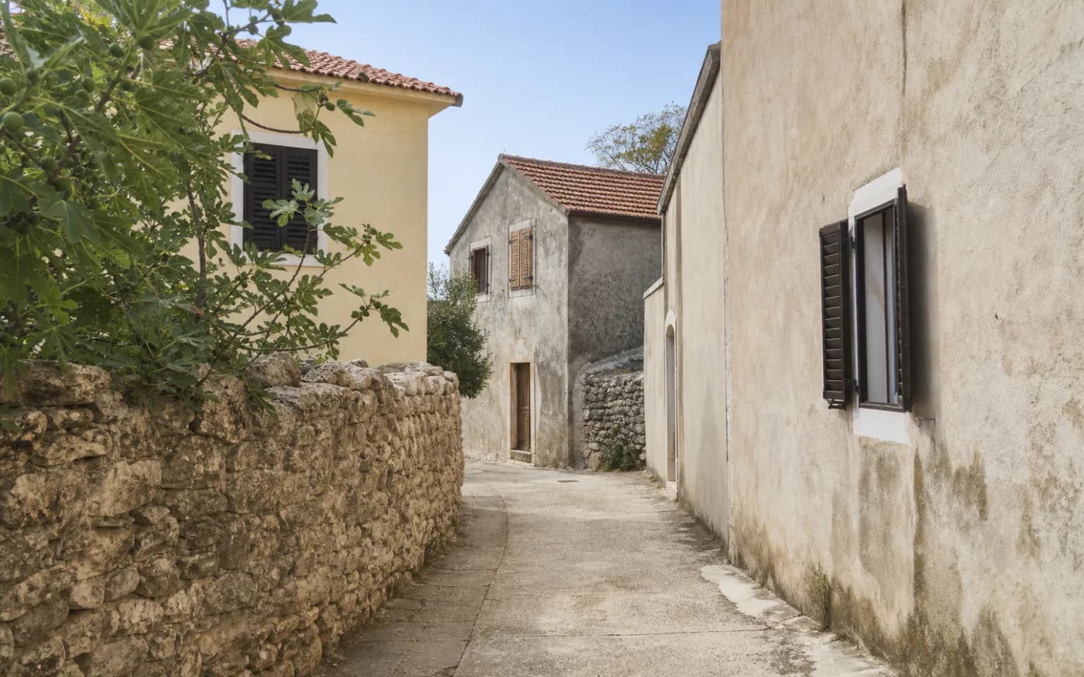 AI-generated illustrative quiet island lane with a stone wall, fig tree and weathered facades in the Vrčići, Pag setting.