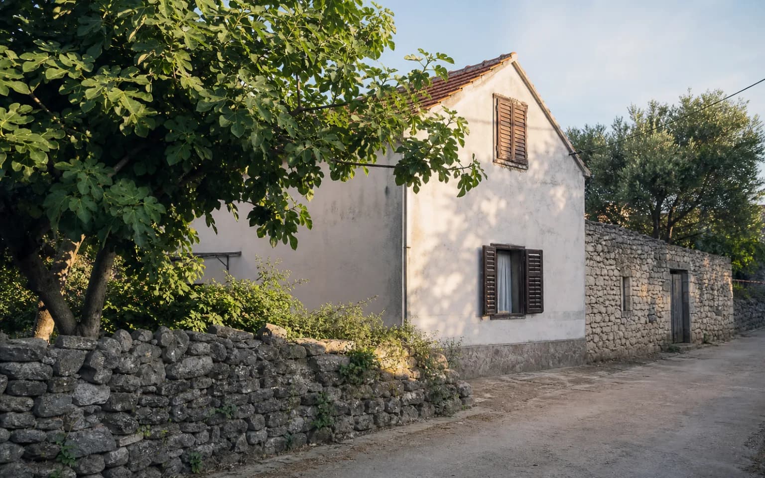 AI-generated illustrative exterior of a modest island home with a stone wall, shutters and a fig tree in the Vrčići, Pag setting.