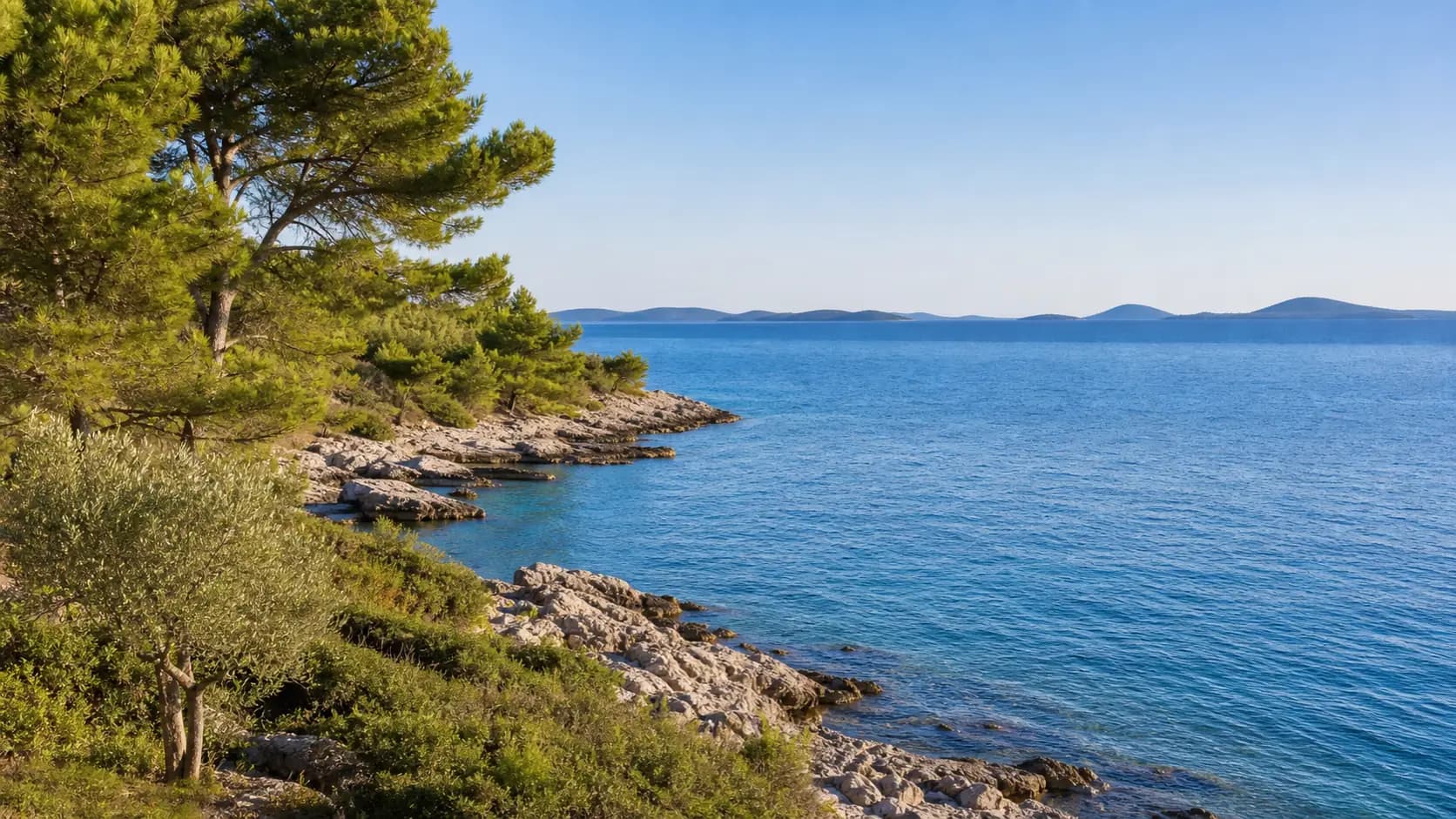 Ilustrativni široki pogled na kamenitu obalu, borove i mirno more u otočnom okruženju Vrgade.