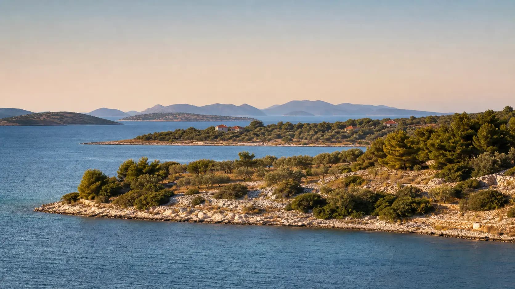 Ilustrativni široki pogled na otočnu obalu, masline i daleki otočni horizont na području Barotula.