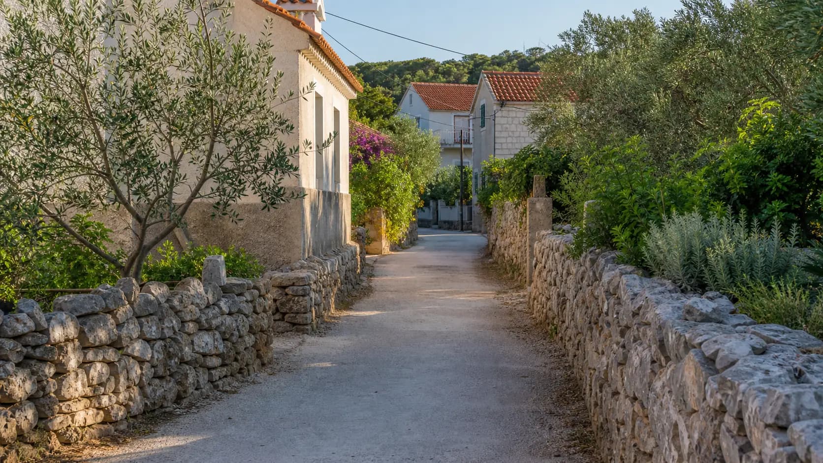 Ilustrativna mirna kamena ulica s mediteranskim kućama i zelenilom — Neviđane, Pašman.