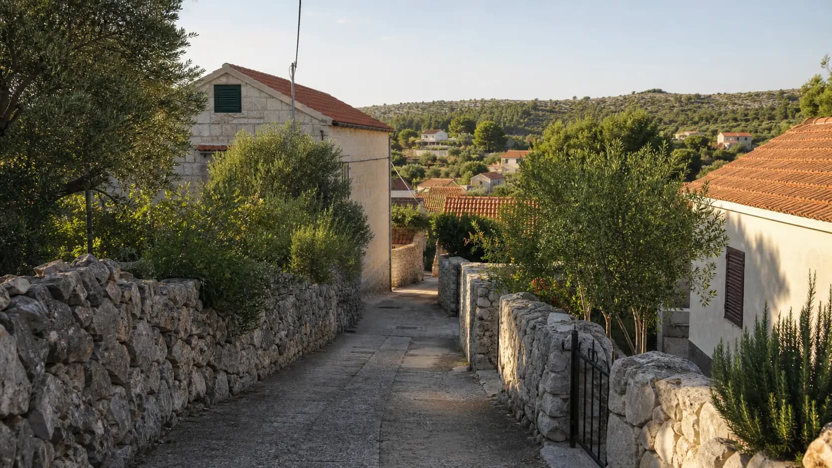 Ilustrativna mirna kamena ulica s kućama, suhozidima i mediteranskim zelenilom — Ždrelac, Pašman.