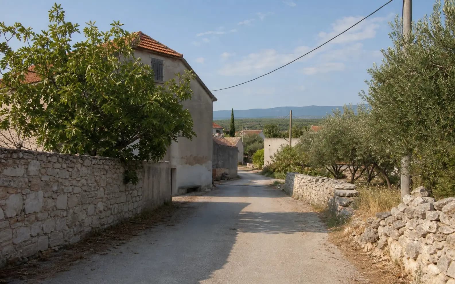 Illustrative ruhige Dorfstraße mit Steinhäusern und Olivenbäumen im Ambiente von Dračevac Ninski.