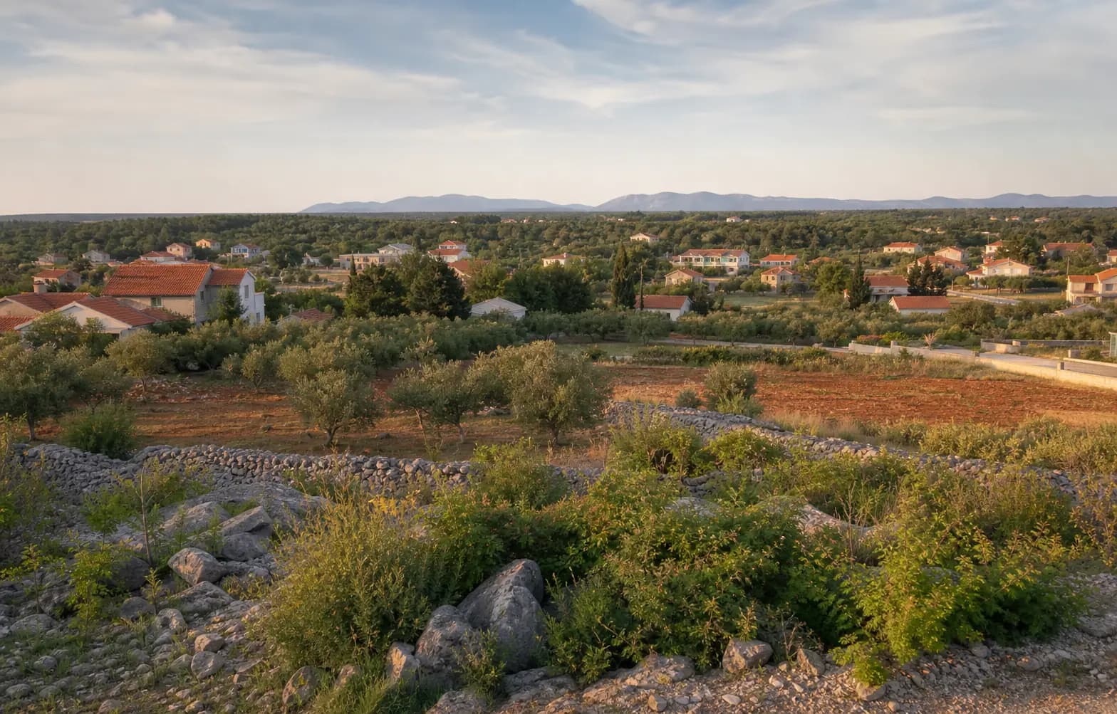 Illustrativer weiter Blick auf das dalmatinische Hinterland mit Feldern, Olivenhainen und Familienhäusern im Ambiente von Murvica.