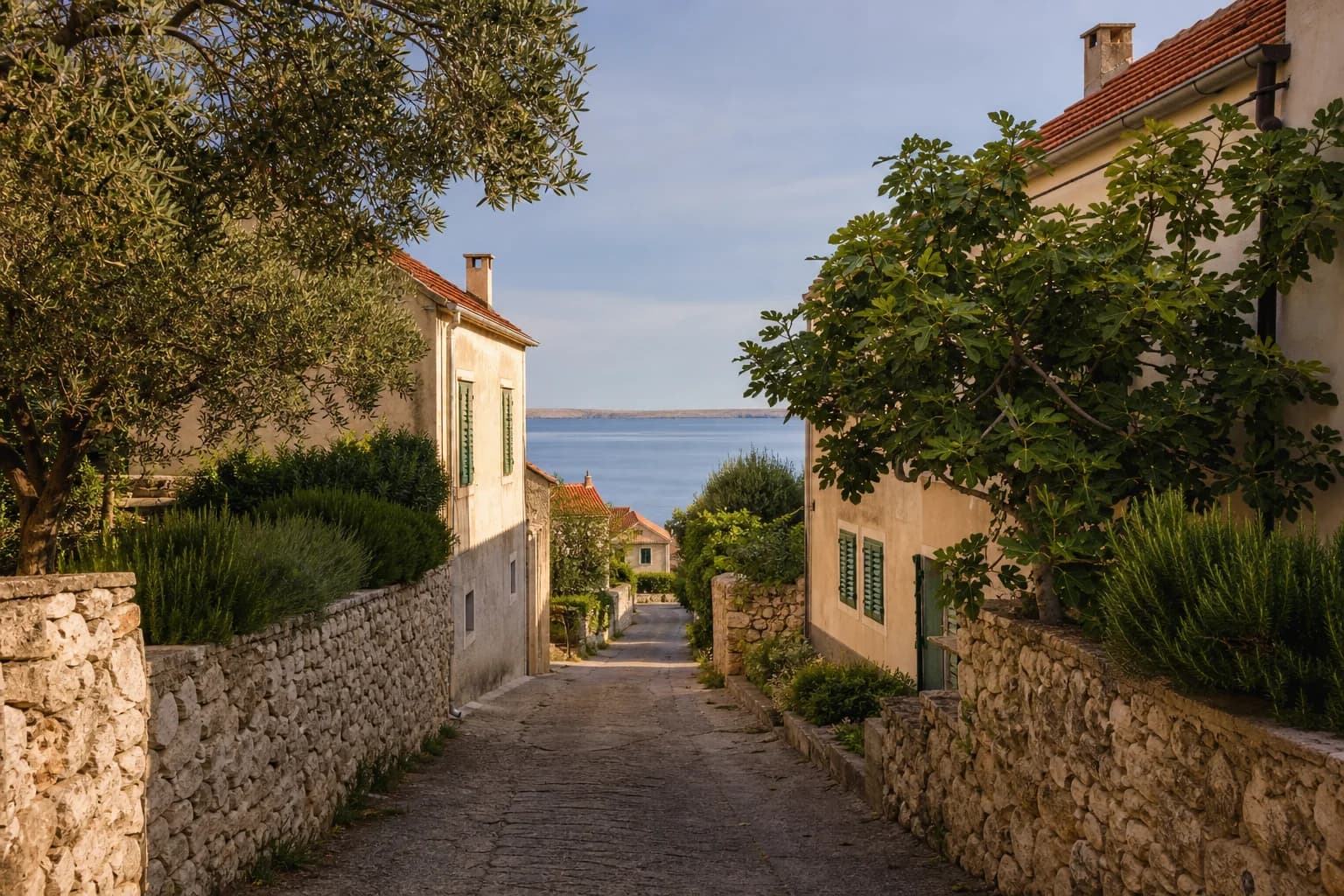 AI-generated illustrative quiet lane beside stone walls, olive trees, a fig tree and a sea view in the Ljubač setting.