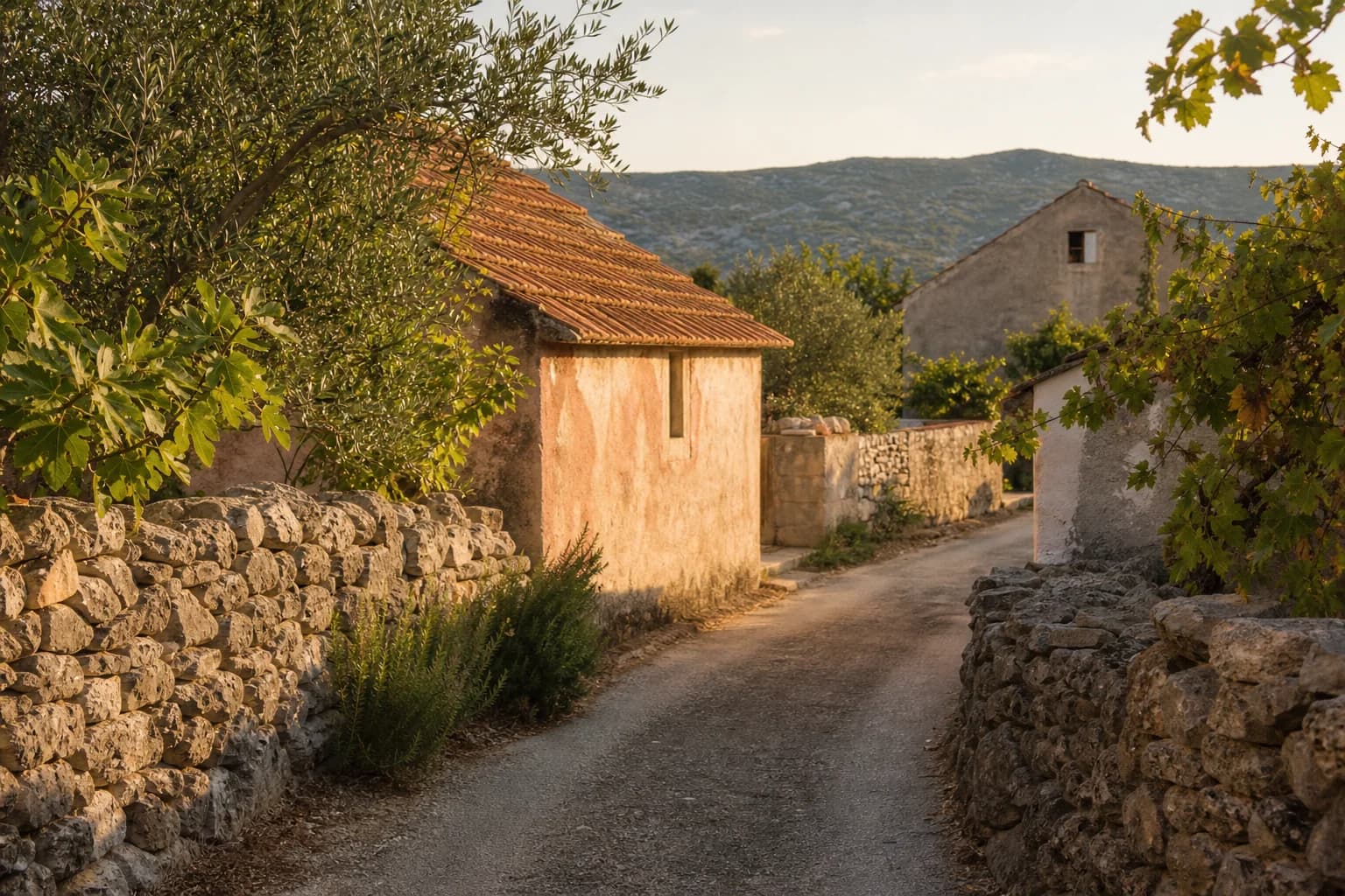 AI-generated illustrative village lane beside dry-stone walls, olive trees, a fig tree and grapevine in the Radovin setting.