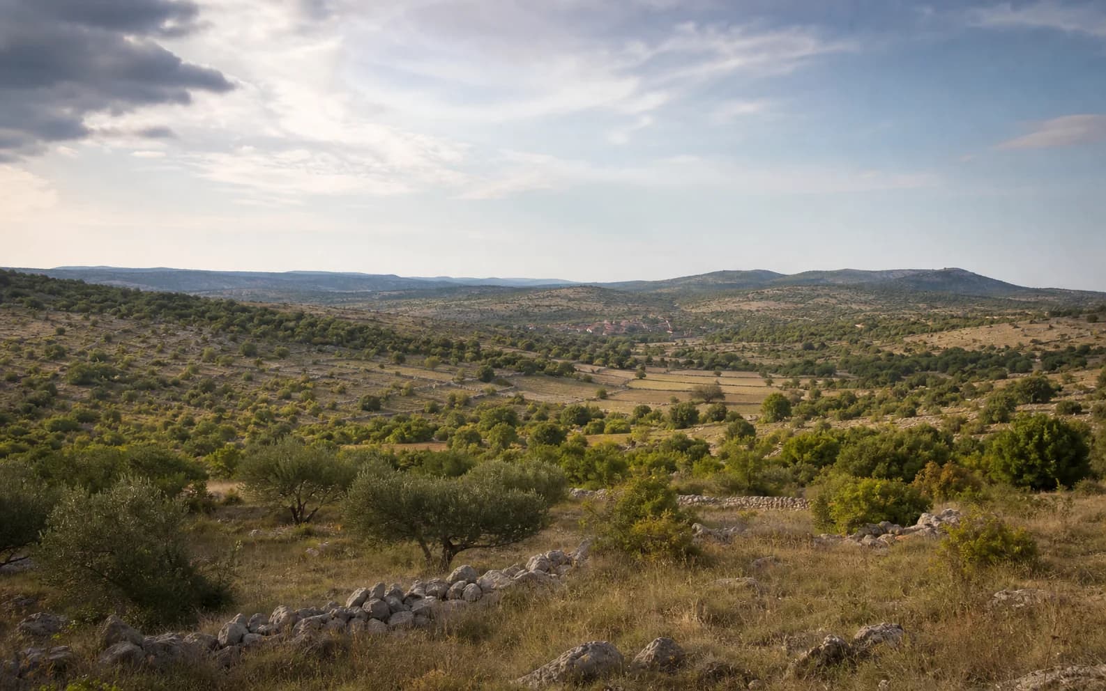 Illustratives Foto für Velim, Stankovci: weiter Blick auf eine offene dalmatinische Hinterlandlandschaft.