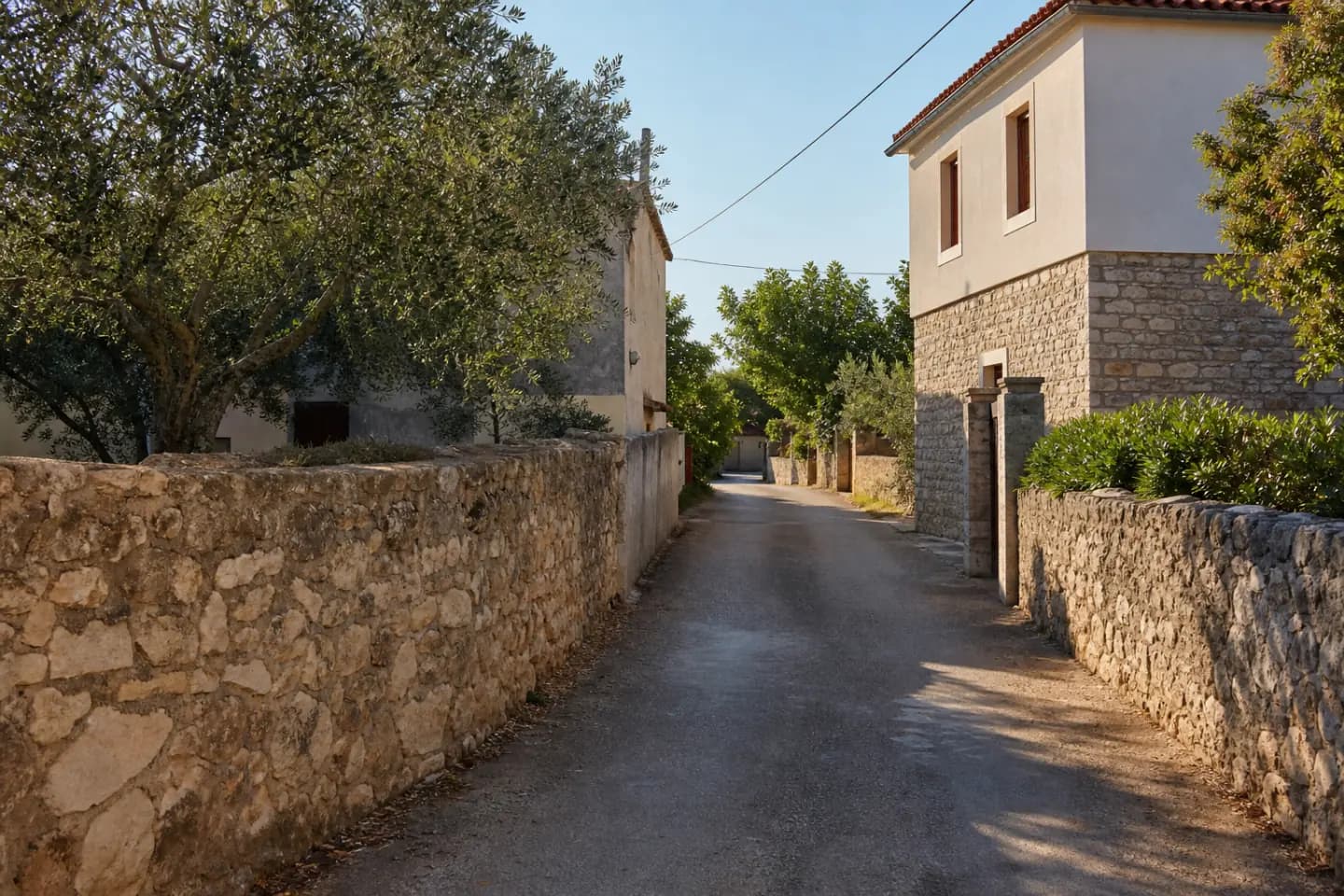 Illustrative quiet residential lane with stone walls and an olive tree in Debeljak.
