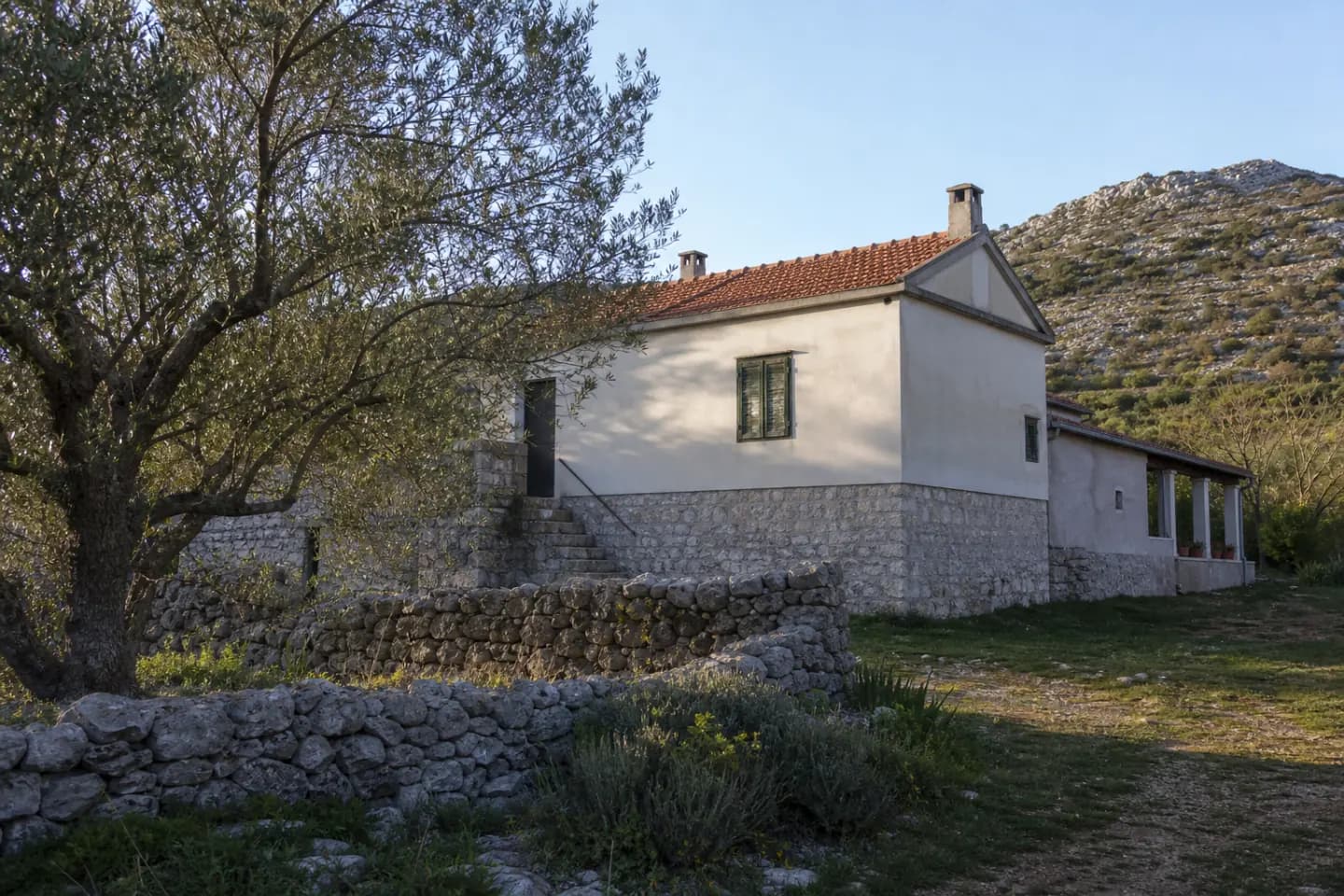 Illustrative residential exterior with an olive tree, stone wall and karst slope in Debeljak.