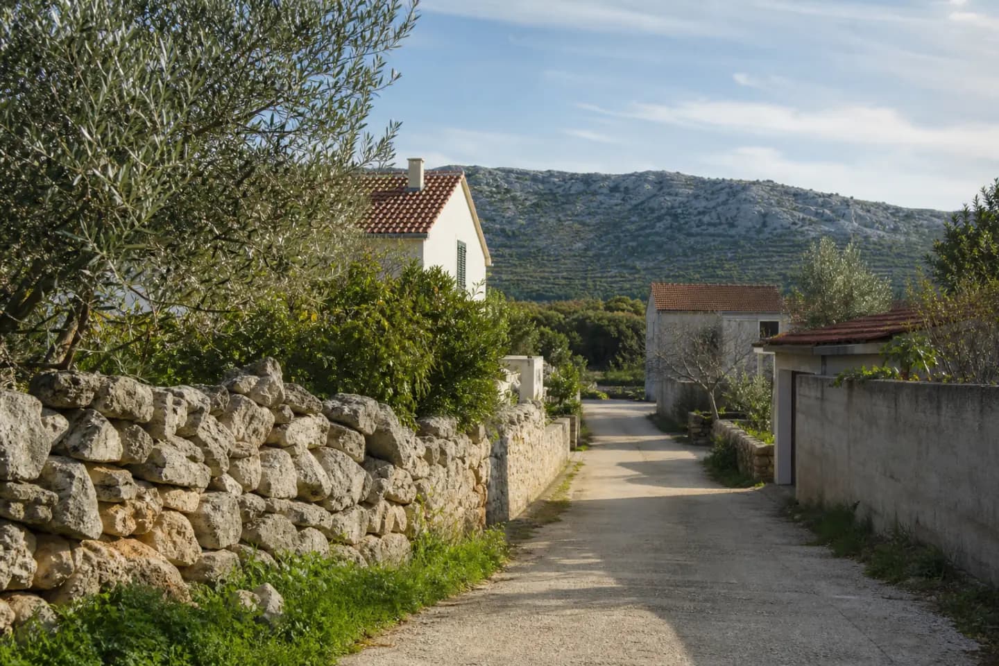 Illustrative quiet lane with stone walls, olive trees and homes in Glavica.
