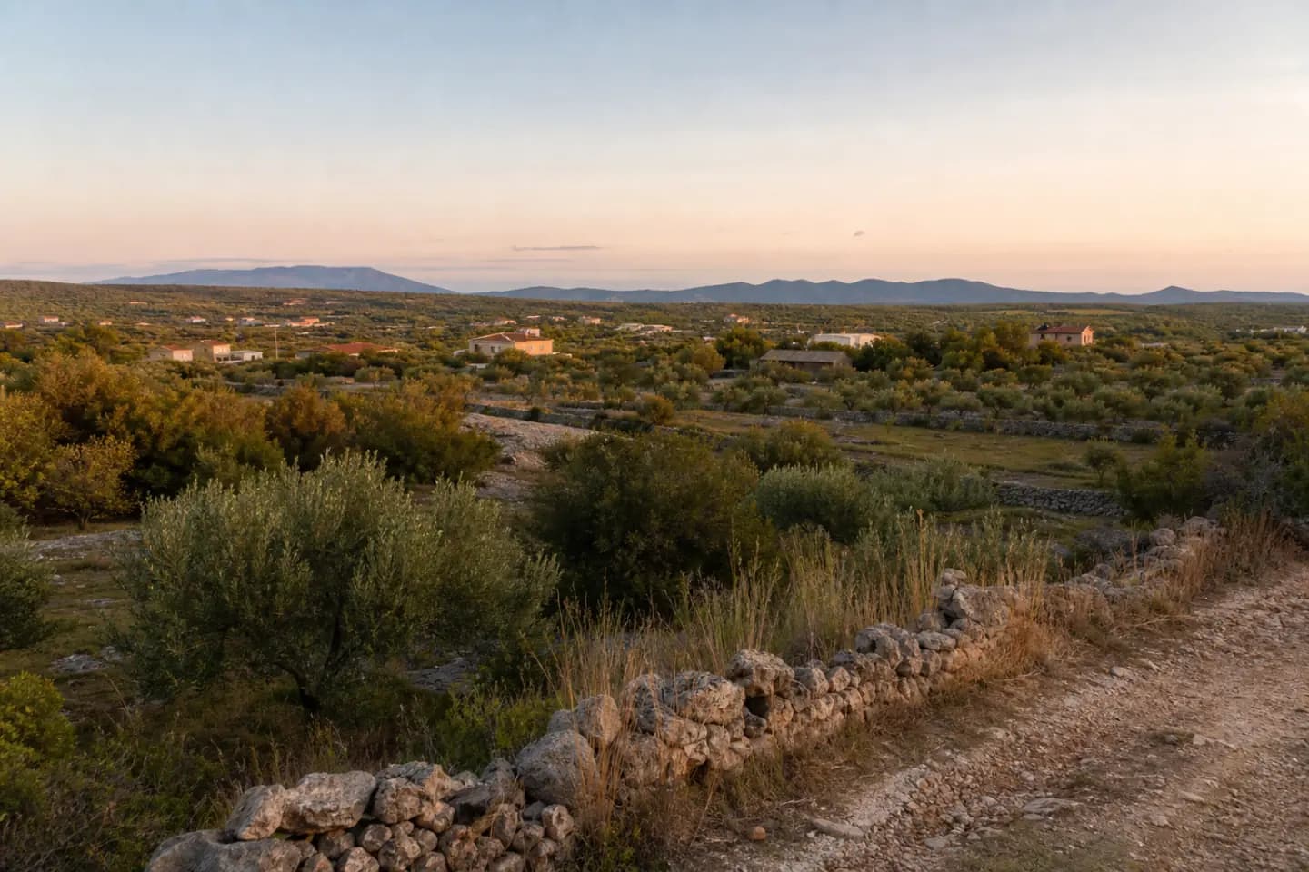 Ilustrativni široki pogled na maslinike, suhozide i raštrkane kuće u ruralnom krajoliku Gorice.