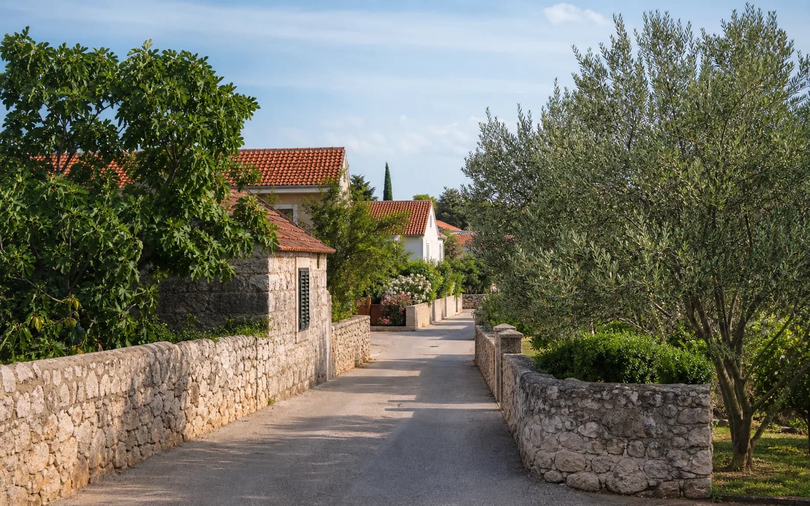 Illustrative photo for Crno, Zadar: a quiet village street with natural stone details.