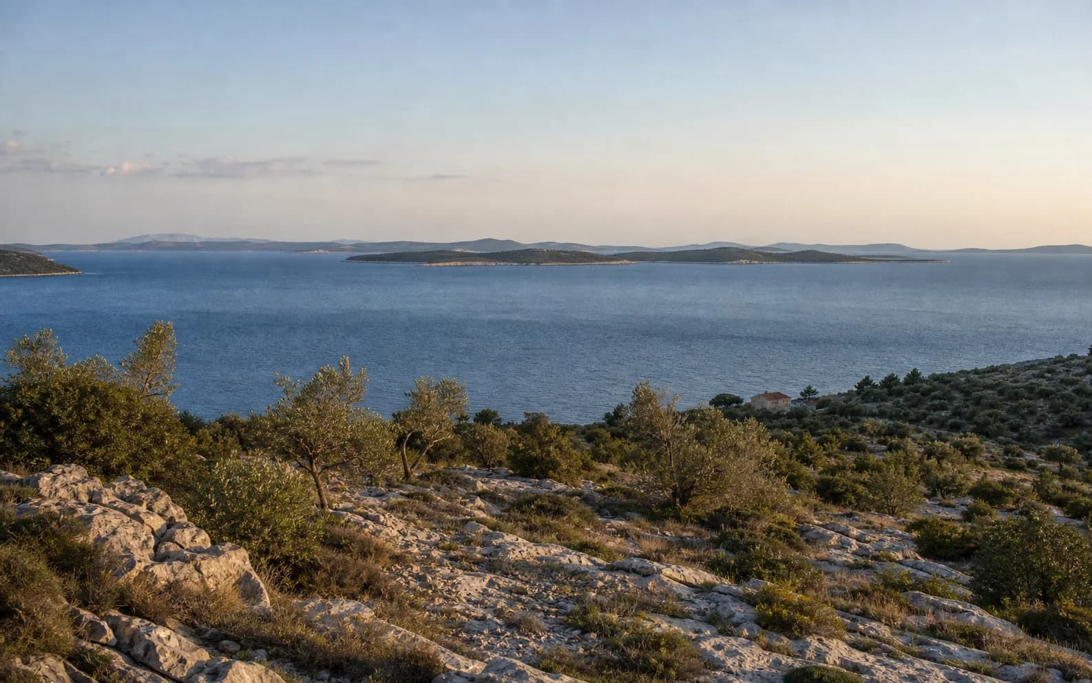 Ilustrativna fotografija za Ist, Zadar: široki pogled na otočni krajolik.