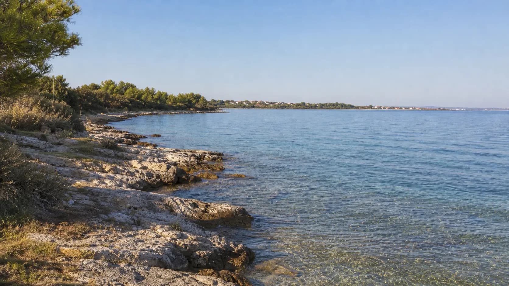 AI-generated illustrative view of a quiet rocky shoreline with pines in the local context of Kožino.