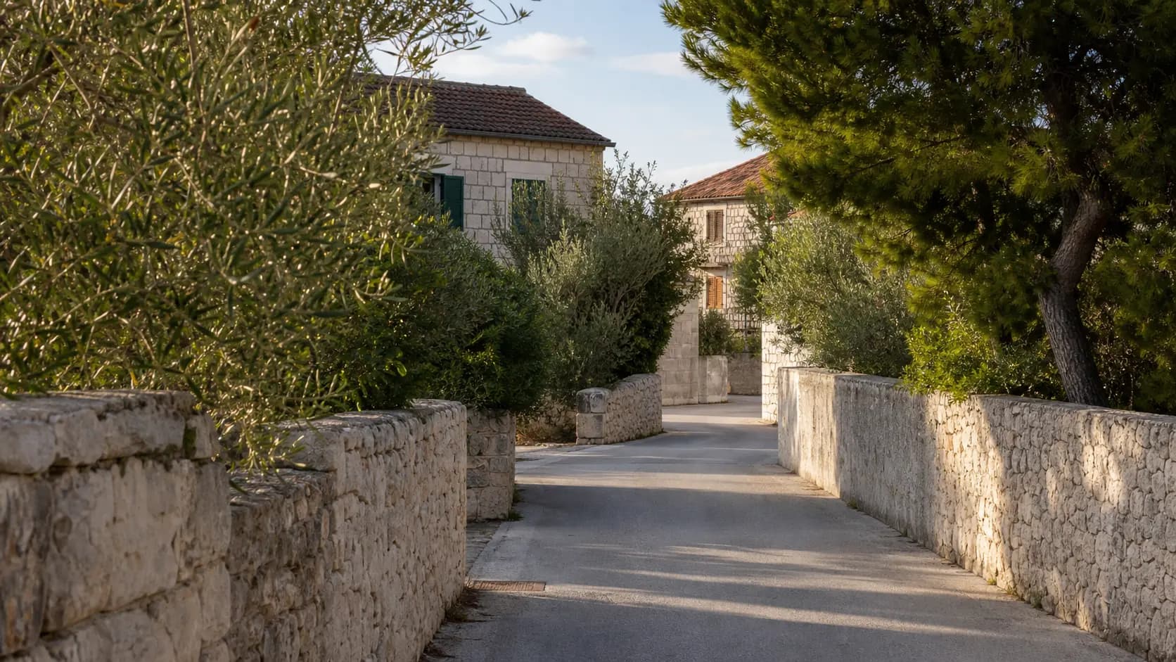 AI-generated illustrative view of a quiet Dalmatian lane with stone walls, olive trees, and pines in Kožino.