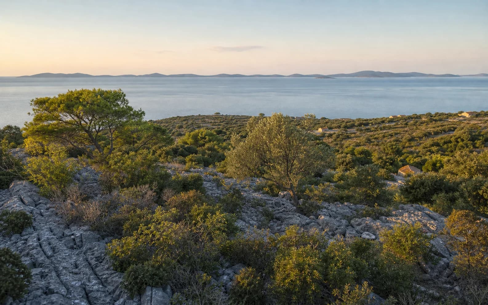 Ilustrativna fotografija za Molat, Zadar: široki pogled na otočni krajolik.
