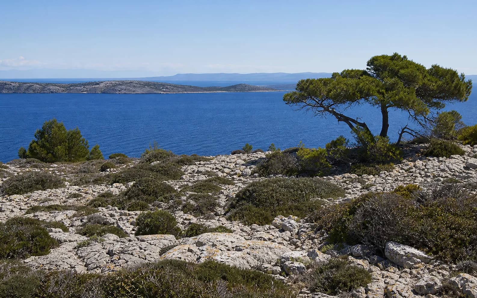 Ilustrativna fotografija za Premuda, Zadar: široki pogled na otočni krajolik.