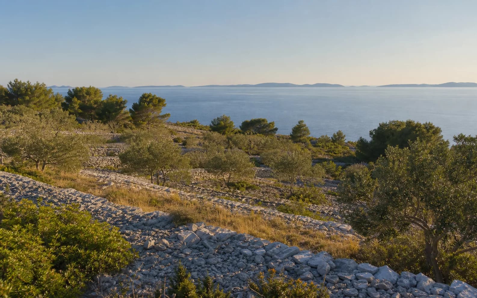 Illustrative photo for Zapuntel, Zadar: a wide view of an island landscape.