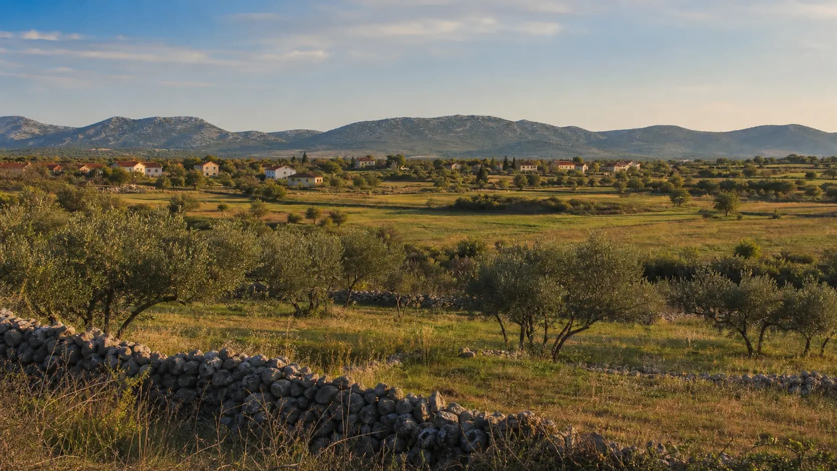 AI ilustrativni široki pogled na polja, masline, suhozide i krški krajolik u lokalnom kontekstu Zemunika Gornjeg.